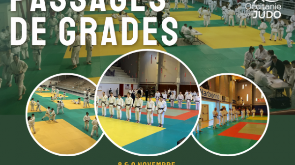 Passages de grades : Novembre 2025